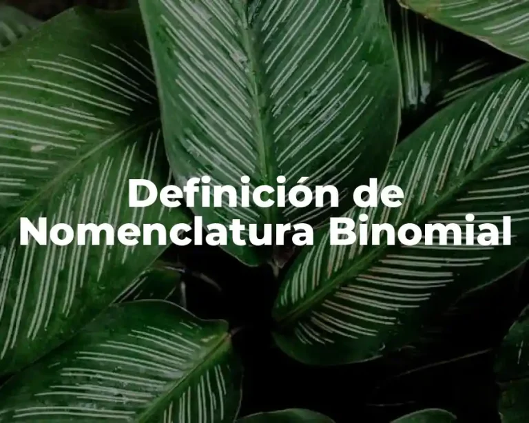 Definición de Nomenclatura Binomial