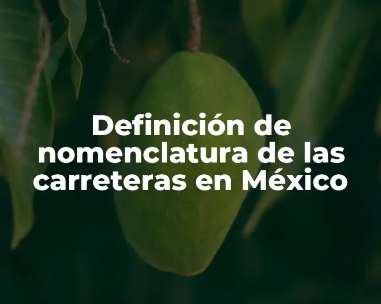 Definición de nomenclatura de las carreteras en México