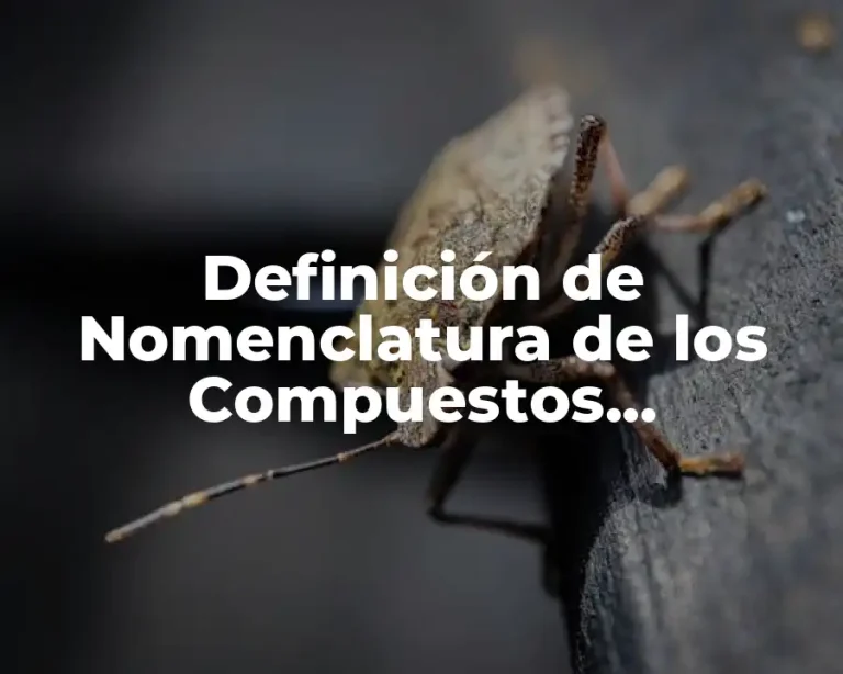 Definición de Nomenclatura de los Compuestos Inorgánicos
