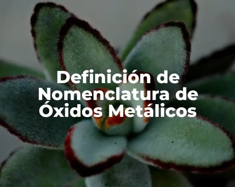 Definición de Nomenclatura de Óxidos Metálicos