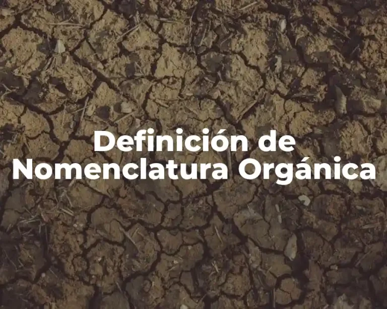 Definición de Nomenclatura Orgánica