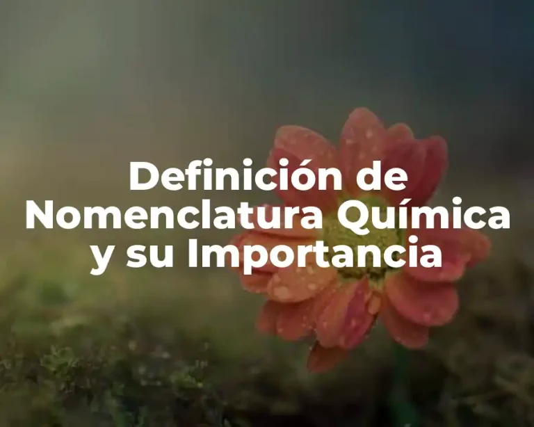 Definición de Nomenclatura Química y su Importancia