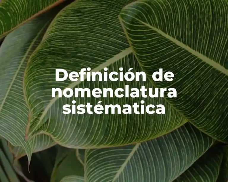 Definición de nomenclatura sistématica