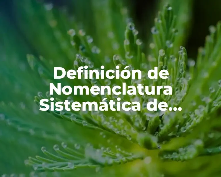 Definición de Nomenclatura Sistemática de Compuestos Química Inorgánica