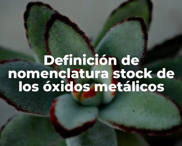 Definición de nomenclatura stock de los óxidos metálicos