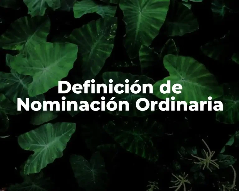 Definición de Nominación Ordinaria