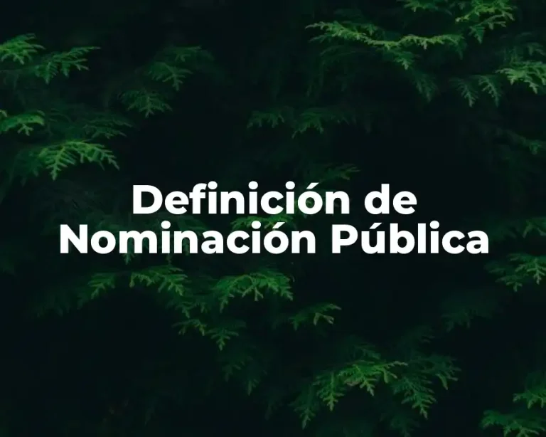 Definición de Nominación Pública