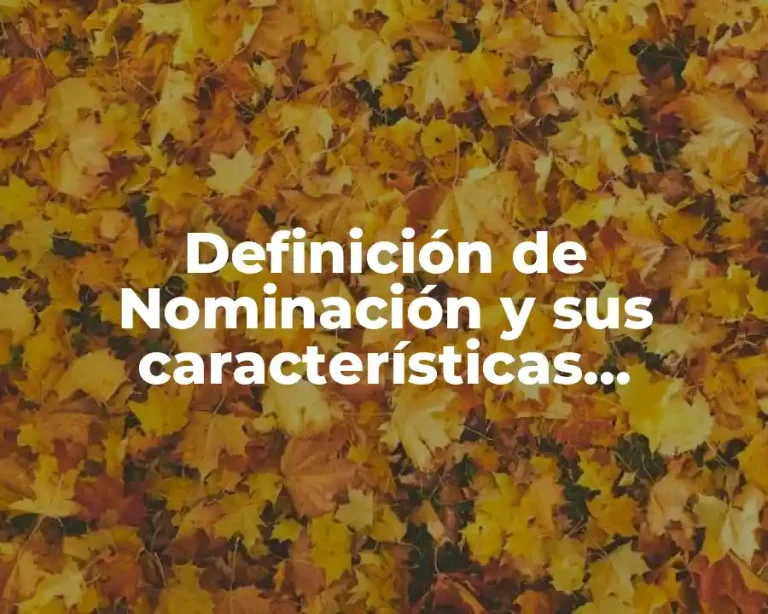Definición de Nominación y sus características contables