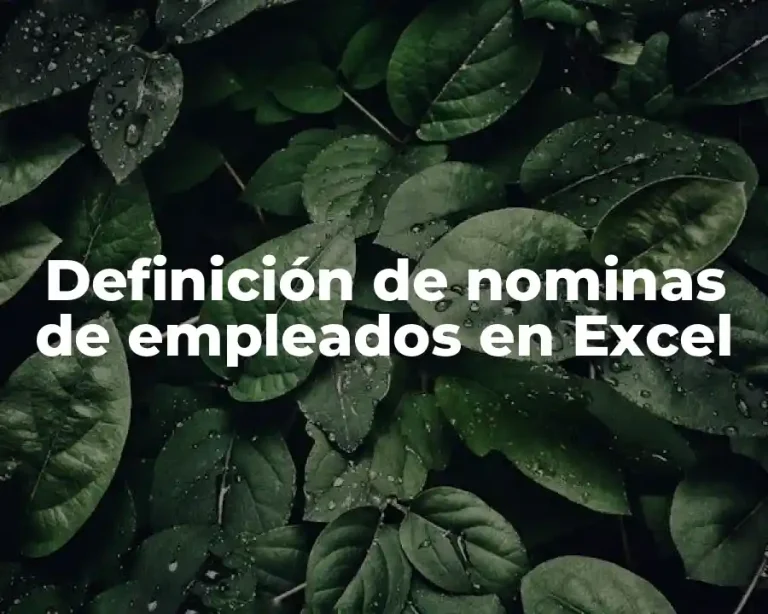 Definición de nominas de empleados en Excel