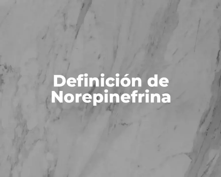 Definición de Norepinefrina