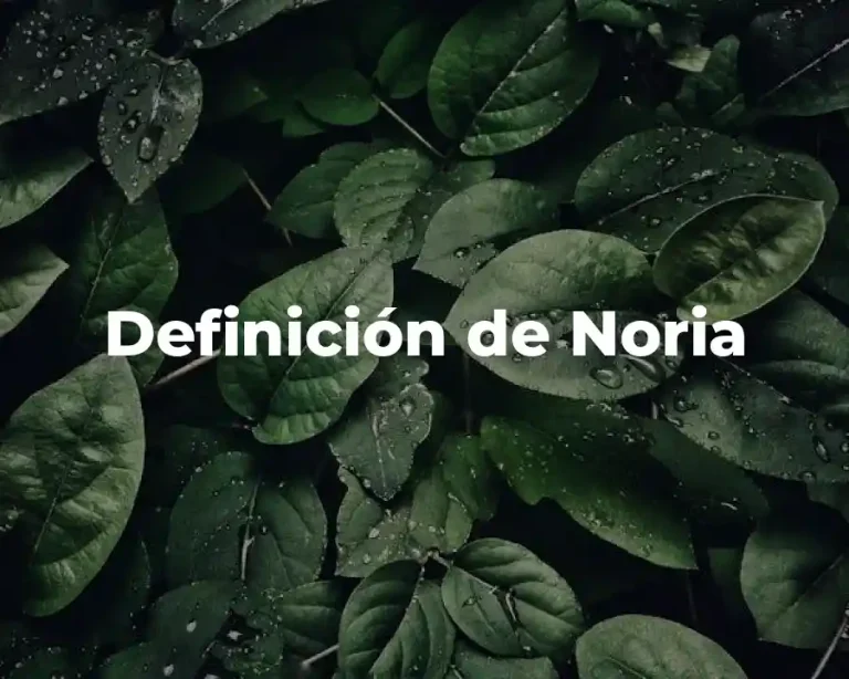 Definición de Noria