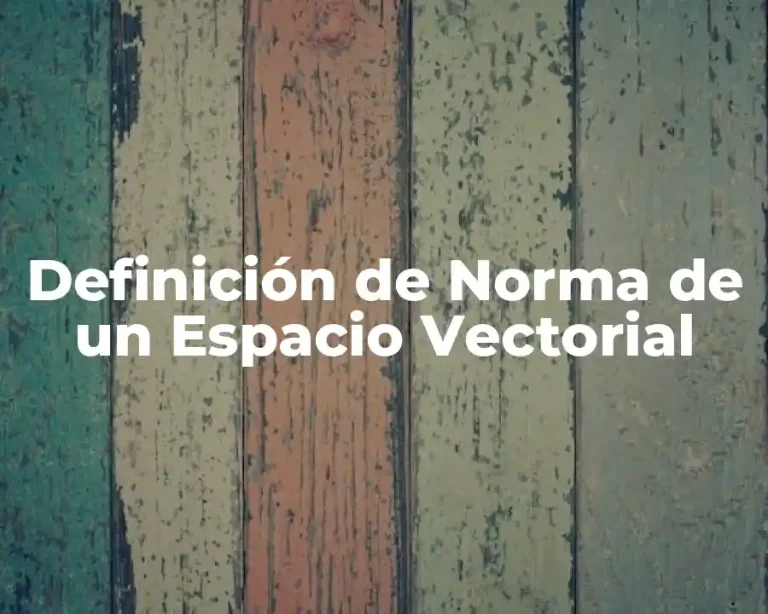 Definición de Norma de un Espacio Vectorial