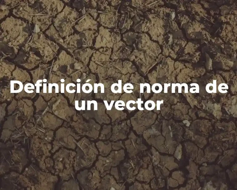 Definición de norma de un vector