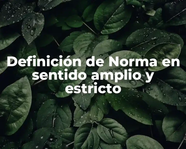 Definición de Norma en sentido amplio y estricto