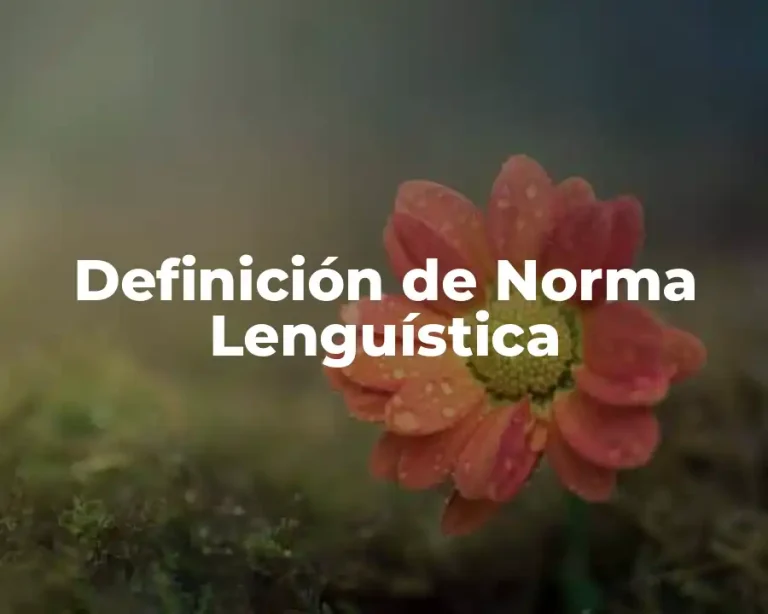 Definición de Norma Lenguística