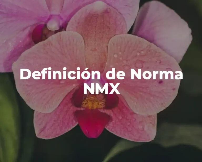 Definición de Norma NMX