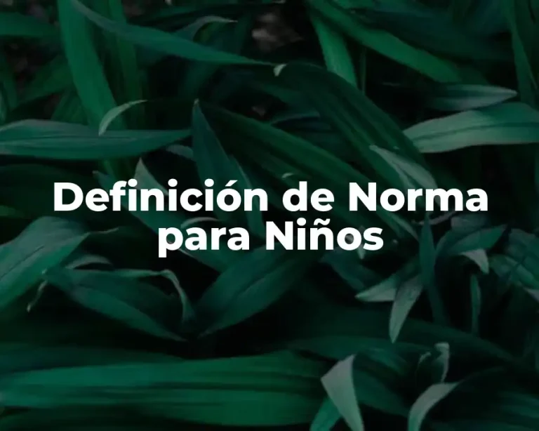Definición de Norma para Niños