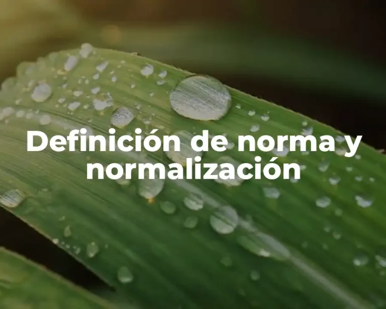 Definición de norma y normalización