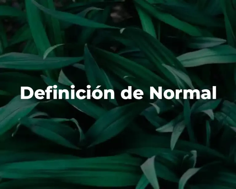 Definición de Normal