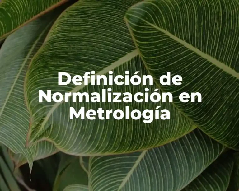 Definición de Normalización en Metrología