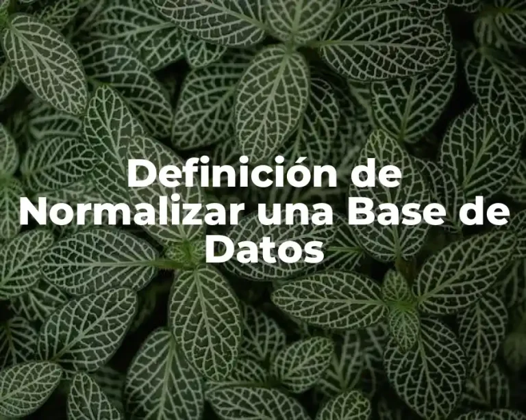 Definición de Normalizar una Base de Datos