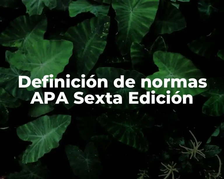 Definición de normas APA Sexta Edición