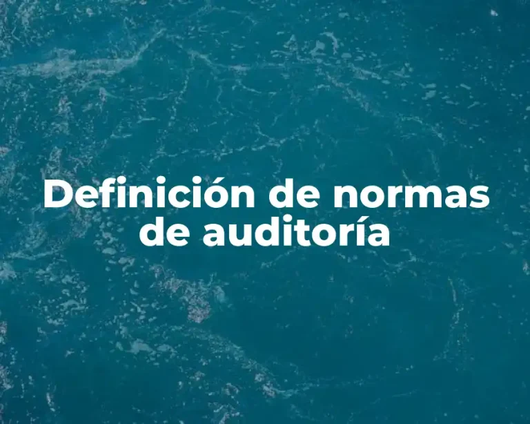 Definición de normas de auditoría