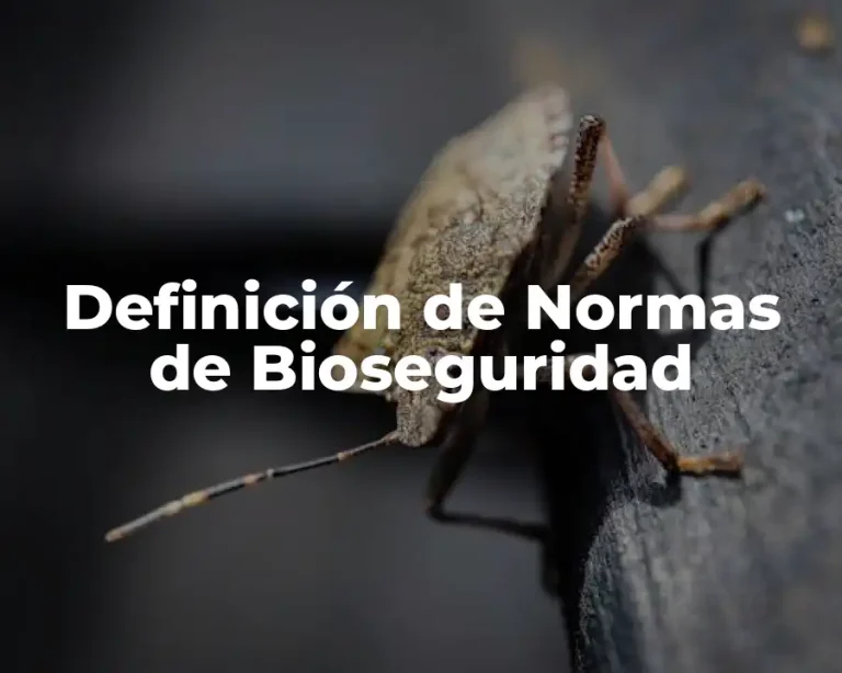 Definición de Normas de Bioseguridad