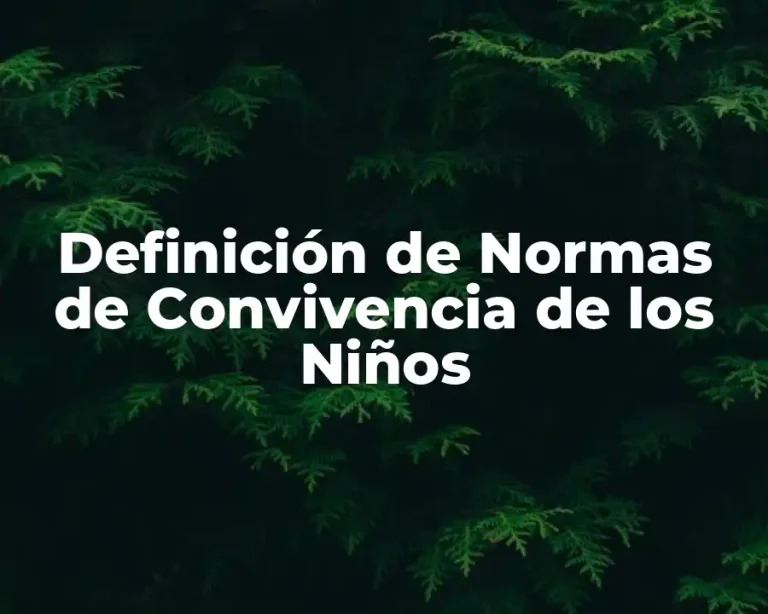 Definición de Normas de Convivencia de los Niños