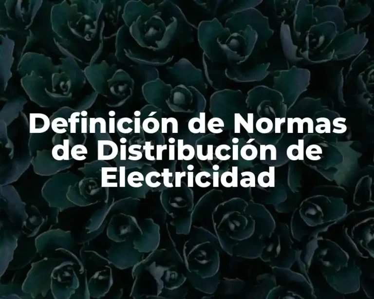 Definición de Normas de Distribución de Electricidad