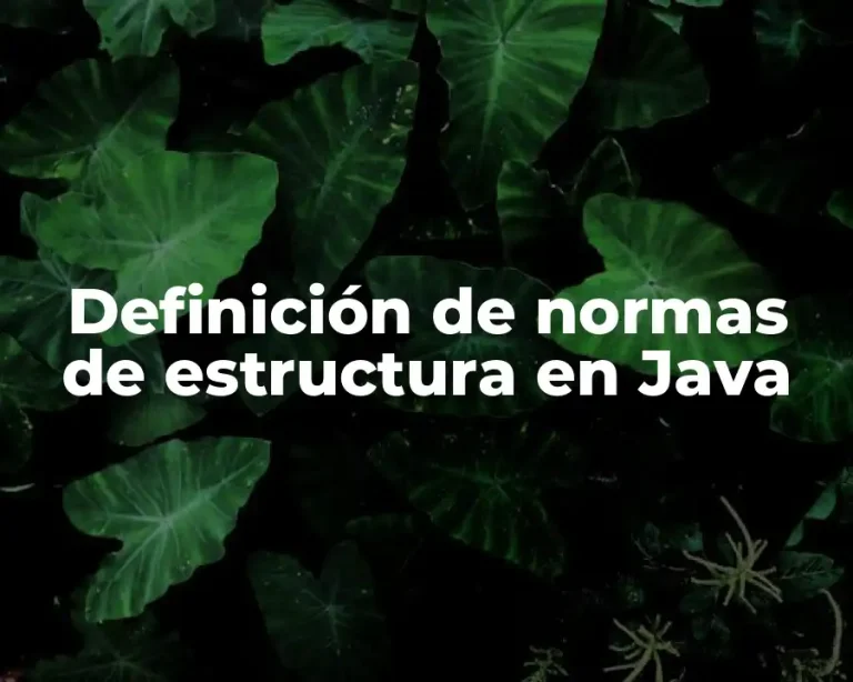 Definición de normas de estructura en Java