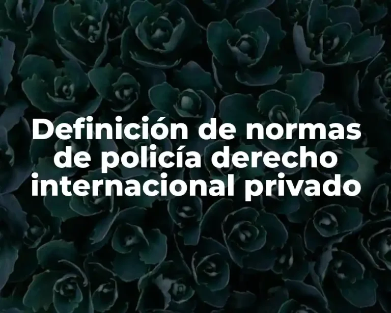 Definición de normas de policía derecho internacional privado