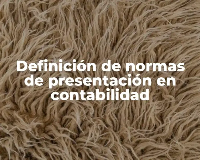 Definición de normas de presentación en contabilidad