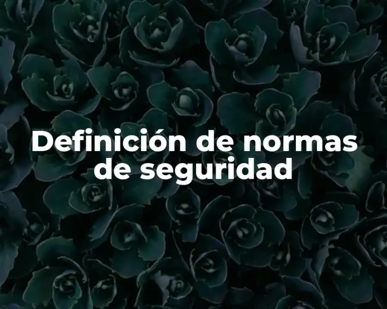 Definición de normas de seguridad
