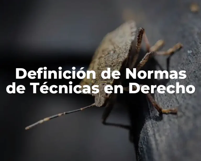 Definición de Normas de Técnicas en Derecho