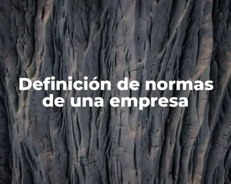 Definición de normas de una empresa