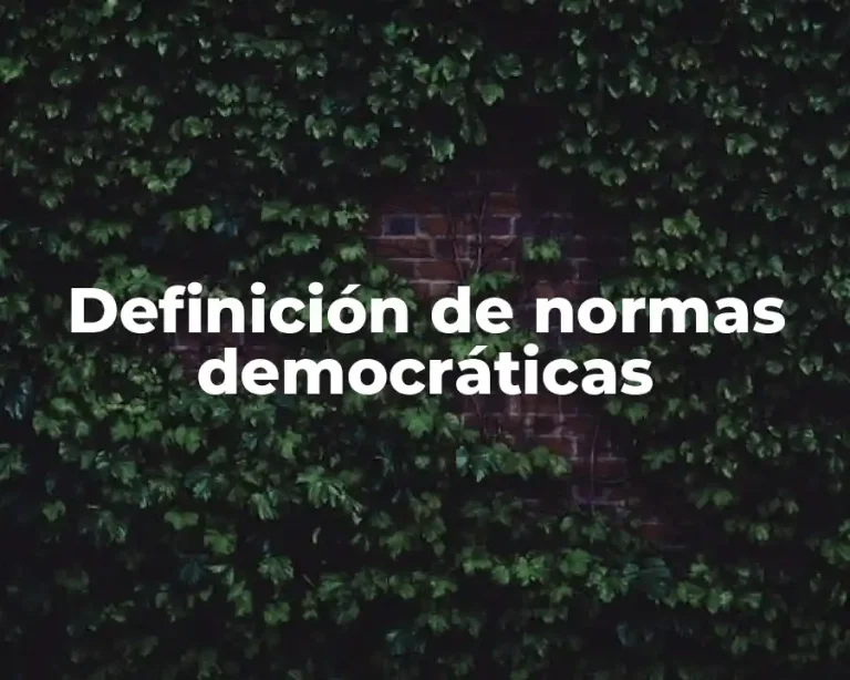 Definición de normas democráticas