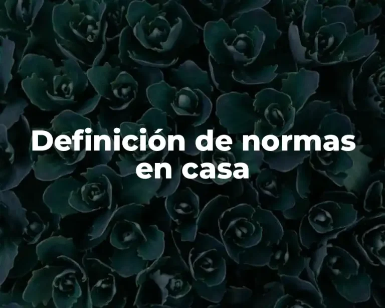 Definición de normas en casa