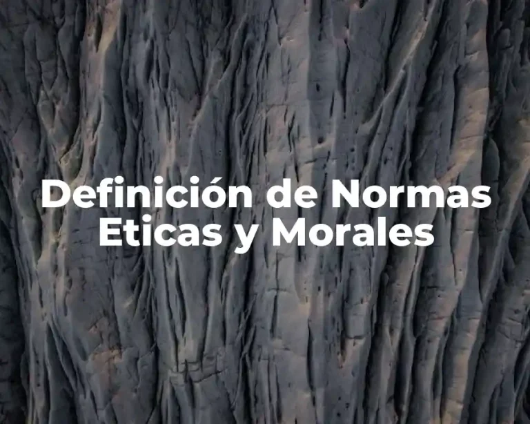 Definición de Normas Eticas y Morales