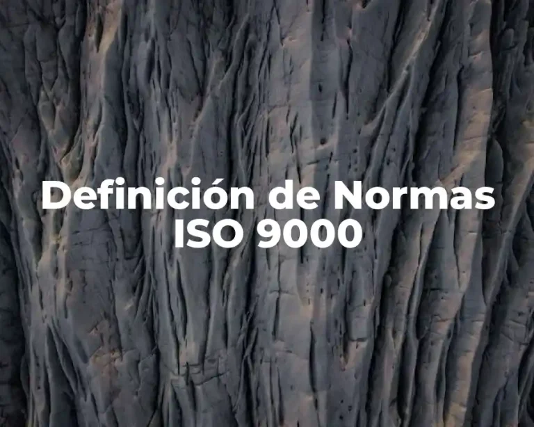 Definición de Normas ISO 9000