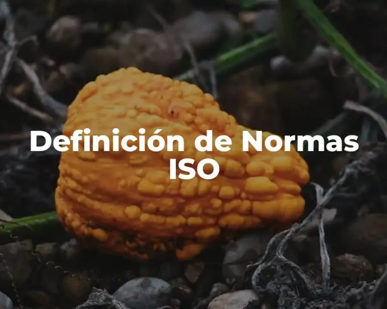 Definición de Normas ISO