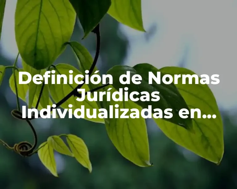 Definición de Normas Jurídicas Individualizadas en Derecho