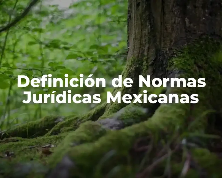 Definición de Normas Jurídicas Mexicanas