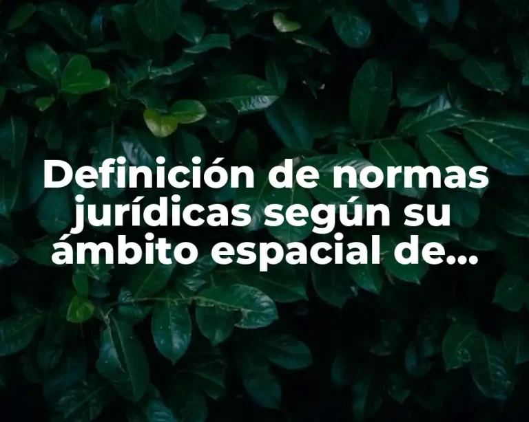 Definición de normas jurídicas según su ámbito espacial de validez
