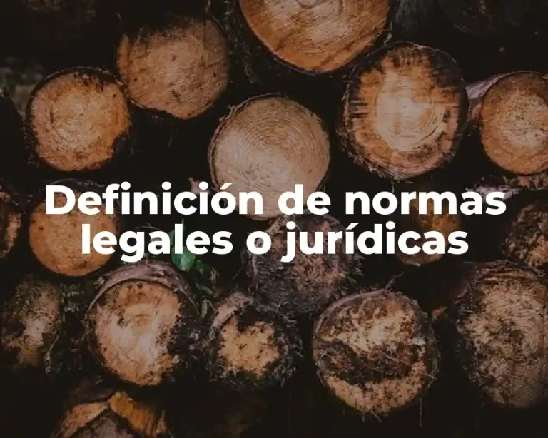 Definición de normas legales o jurídicas