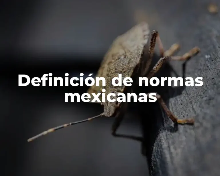 Definición de normas mexicanas
