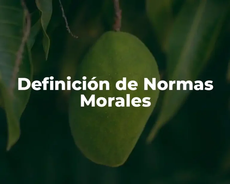 Definición de Normas Morales