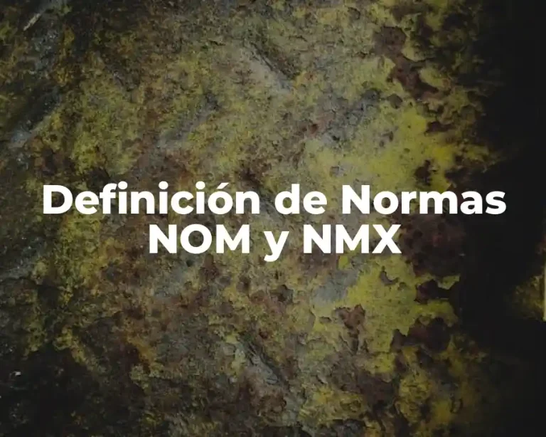 Definición de Normas NOM y NMX