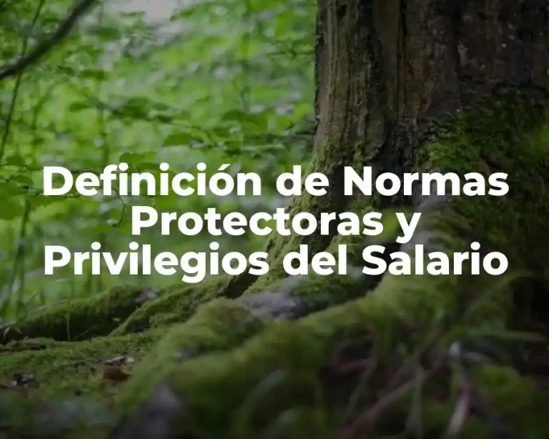 Definición de Normas Protectoras y Privilegios del Salario