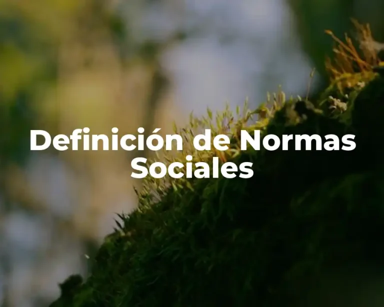 Definición de Normas Sociales